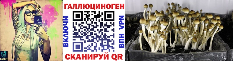 Галлюциногенные грибы MAGIC MUSHROOMS  купить наркотики цена  Спасск 